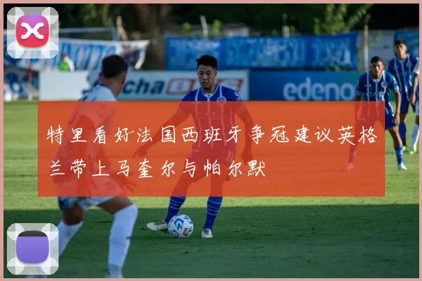 特里看好法国西班牙争冠建议英格兰带上马奎尔与帕尔默